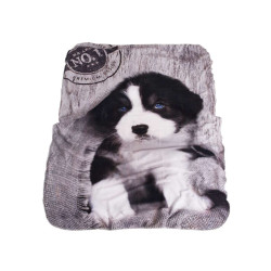 Бебешко одеяло - кученце