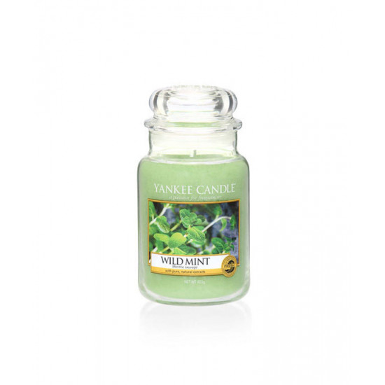 Висококачествена ароматна свещ - WILD MINT от StyleZone