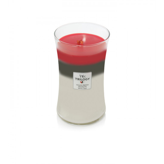 Висококачествена ароматна свещ - TRILOGIA WINTER GARLAND от StyleZone