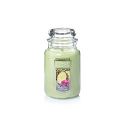 Висококачествена ароматна свещ - PINEAPPLE CILANTRO от StyleZone