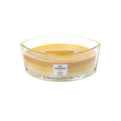 Висококачествена ароматна свещ -  WOODWICK TRILOGIA ELLIPSE FRUITS OF SUMMER от StyleZone